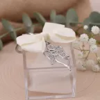 Plexiglass con Angioletto confezionato