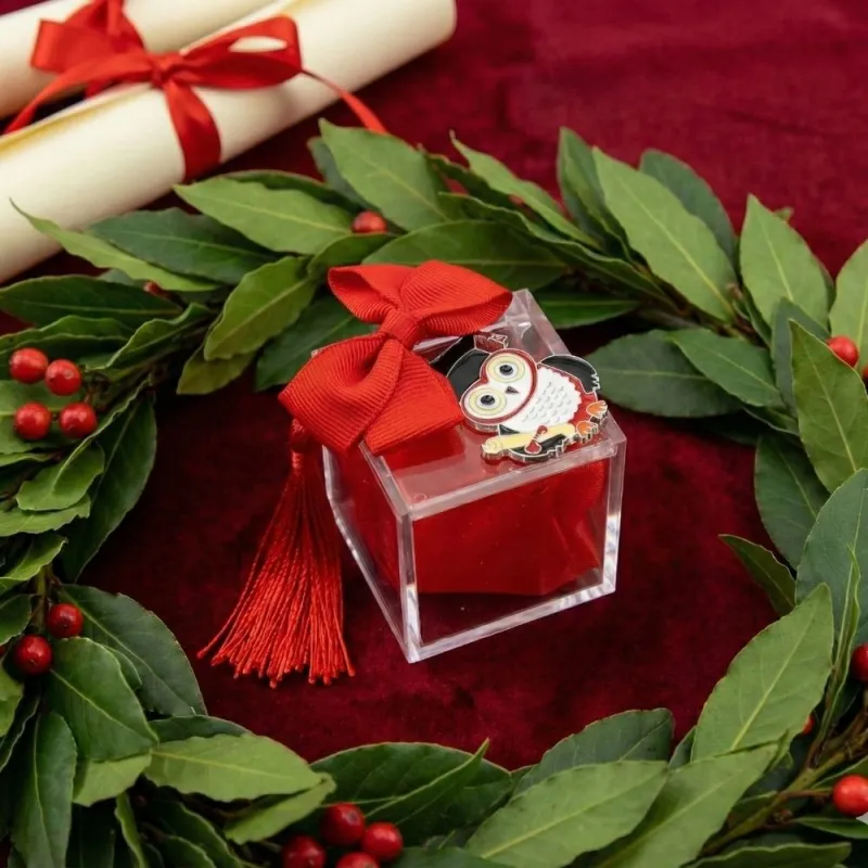 Plexiglass Rosso con Gufetto Laurea con Nappina