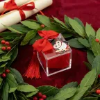 Plexiglass Rosso con Gufetto Laurea con Nappina