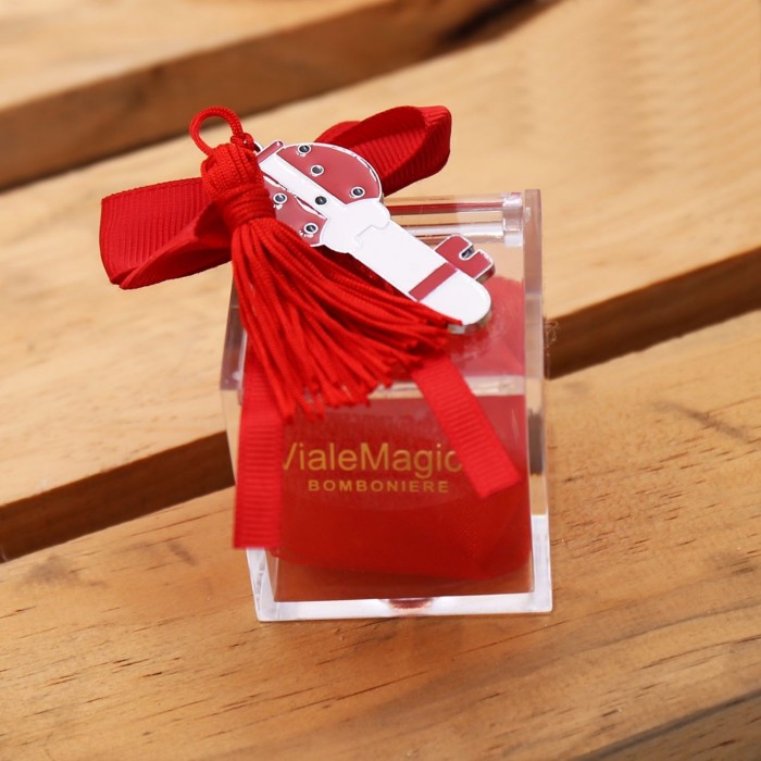 Bomboniera Ciondolo Chiave Coccinella Rossa Fortuna Nappina su Plexiglass