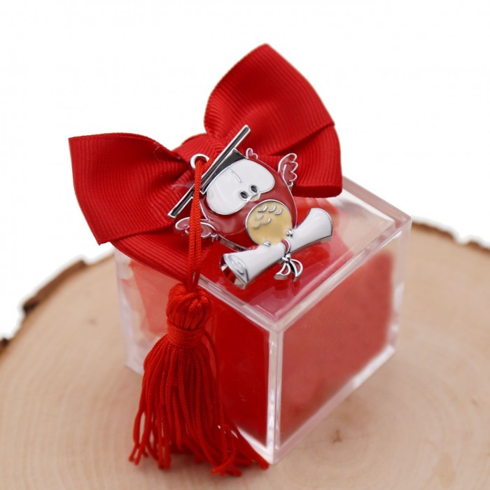 Bomboniere Laurea Confezionate su Plexiglass con  Gufetto con Ali 3D e Nappina