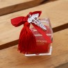 Bomboniere Laurea Caduceo Moderno con Nappina Laurea in Farmacia con Plexiglass