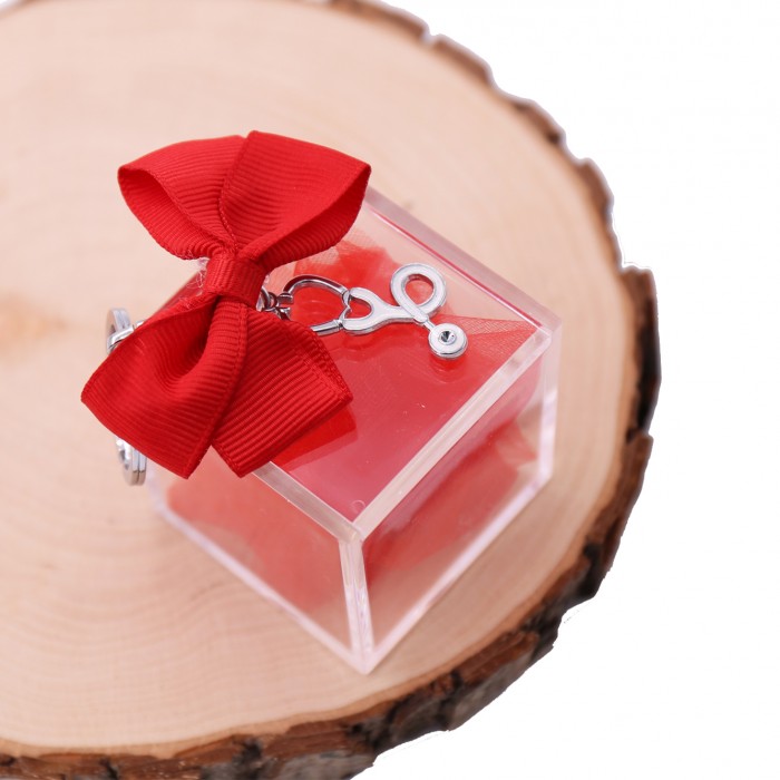 Bomboniere Laurea Infermieristica Plexiglass Rosso con Stetoscopio Bianco