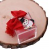 Bomboniere Online Plexiglass Rosso con Gufetto Laurea
