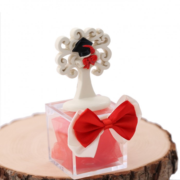 Albero della Vita Bomboniere Confezionate Laurea Statuina