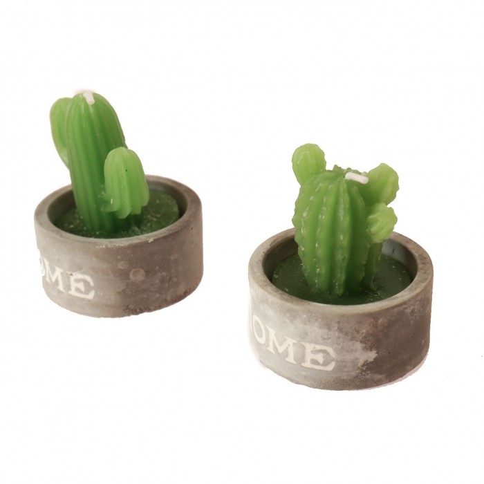 Cactus piantine divertenti Candele in diversi modelli bomboniera Fai da Te