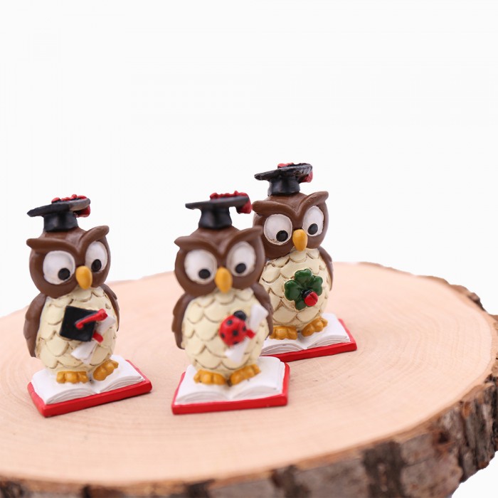 Bomboniere Fai Da Te Laurea Tris Statuine Gufetti Su Libro