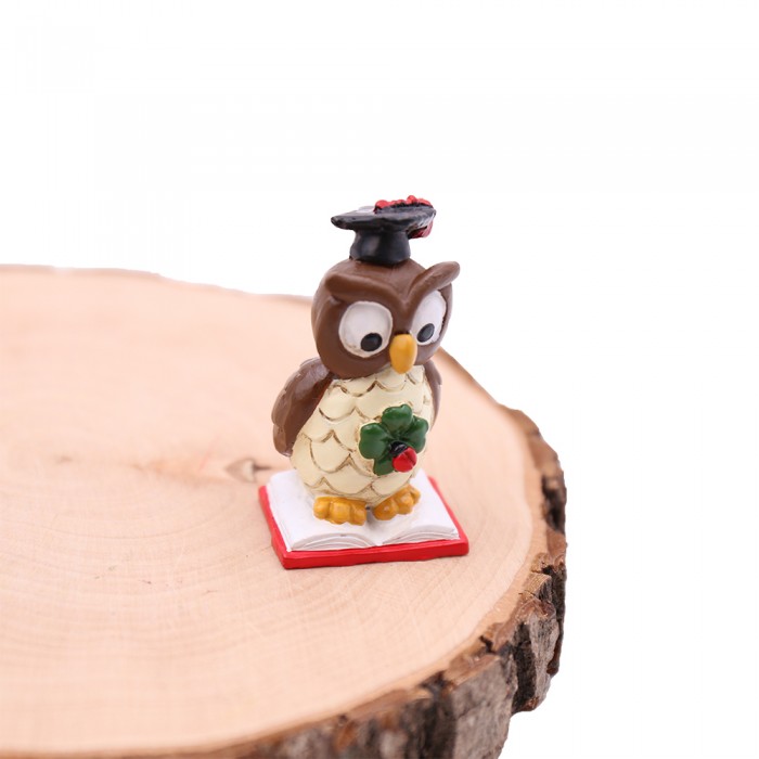 Bomboniere Fai Da Te Laurea Tris Statuine Gufetti Su Libro