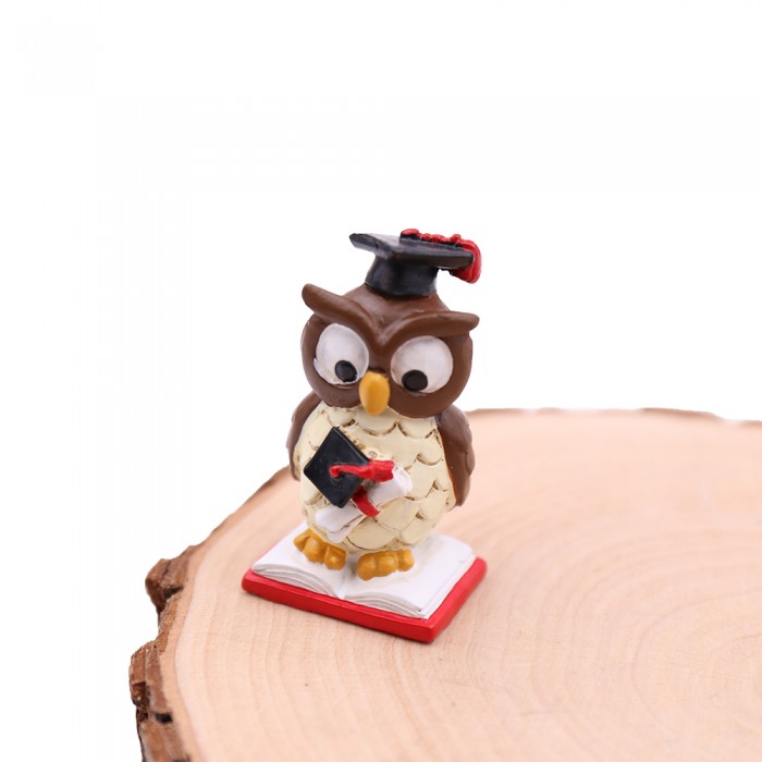 Bomboniere Fai Da Te Laurea Tris Statuine Gufetti Su Libro