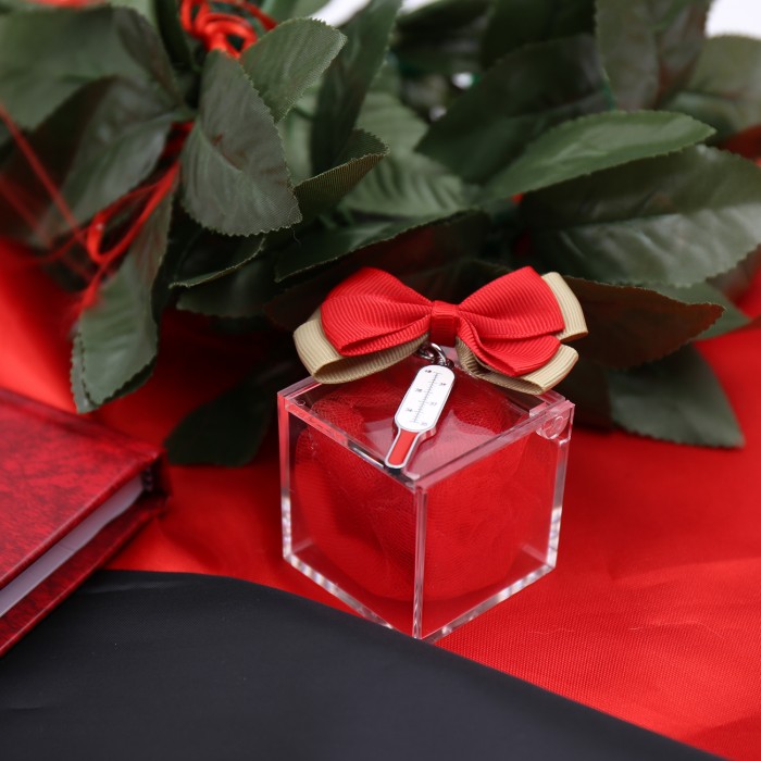 Portachiave Termometro Color confezionato su Plexiglass