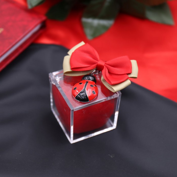 Plexiglass Confezionato Coccinella Bombata