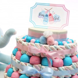 Gender Reveal Party Torta Marshmallow
