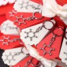 Bomboniere Laurea Biologia e Chimica Ciondolo Atomo con Torta Confetti