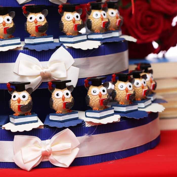 Bomboniere Laurea Gufetto Intelligente Su Torta Idea Laurea