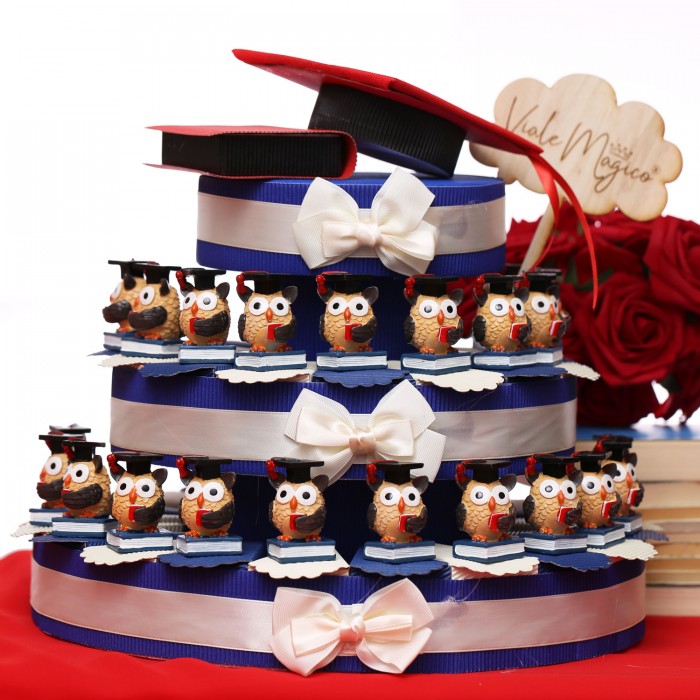 Bomboniere Laurea Gufetto Intelligente Su Torta Idea Laurea