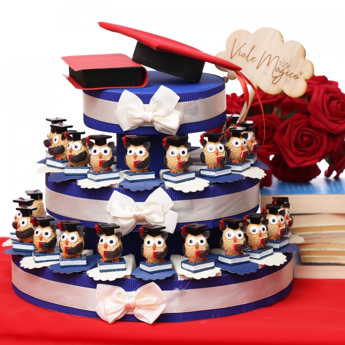 Bomboniere Laurea Gufetto Intelligente Su Torta Idea Laurea