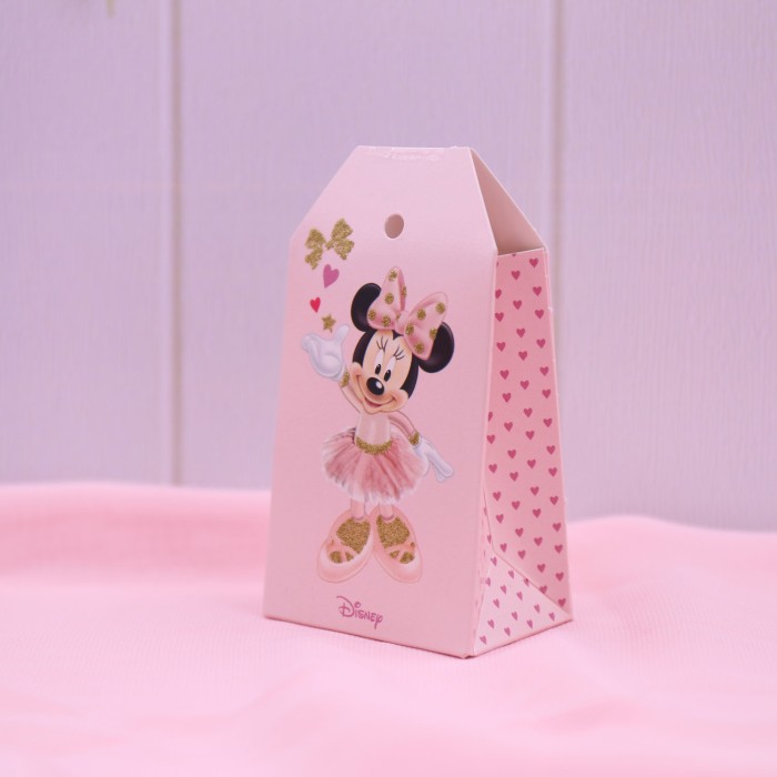 Disney Minnie Ballerina FAI DA TE Scatoline Libro e tag Astucci bimba