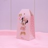 Disney Minnie Ballerina FAI DA TE Scatoline Libro e tag Astucci bimba