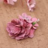 Fiori Malva da confezionare per Diciottesimo Compleanno Ragazza