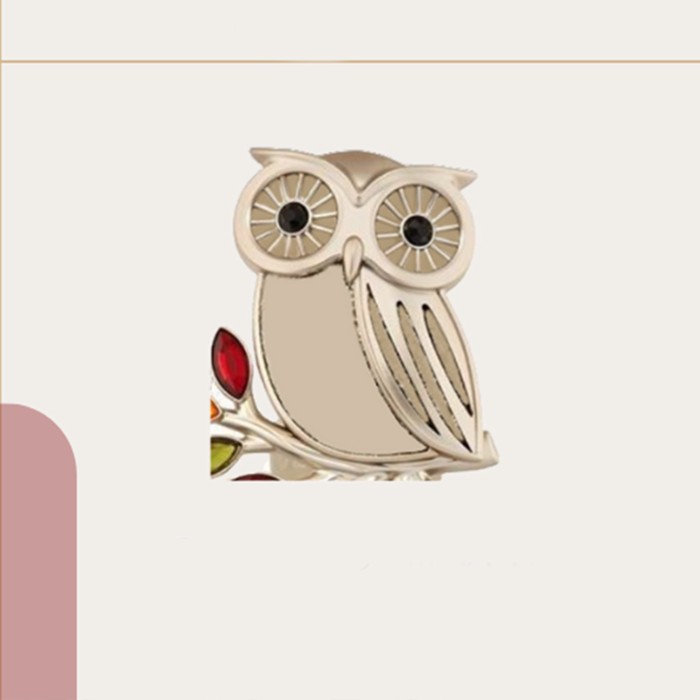 Portafortuna Gufetto Bomboniera Laurea e compleanno da confezionare