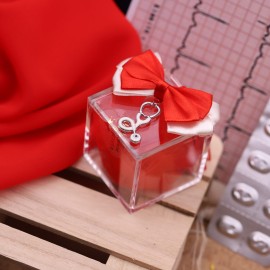 Plexiglass Rosso con Stetoscopio Bianco www.vialemagico.it