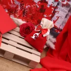 Microscopio con Nappina per Laurea in Biologia su Sacchetto
