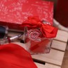 Portachiave Chiocciola Internet per Laurea Infromatica con Plexiglass VIALE MAGICO