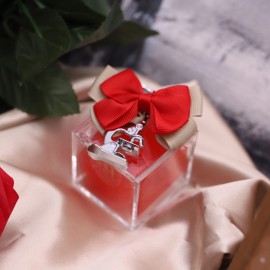 Plexiglass Rosso con Microscopio Portachiavi