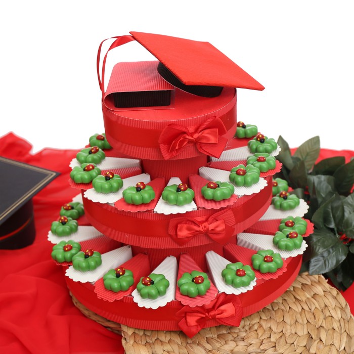 Quadrifoglio e coccinella Calamita su Torta bomboniere Laurea