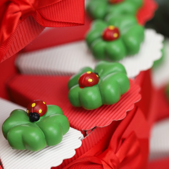 Quadrifoglio e coccinella Calamita su Torta bomboniere Laurea