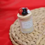 Tris portafortuna laurea con candela bomboniera confezionata coccinella dettaglio