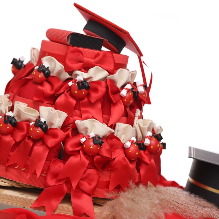 Torta bomboniere laurea con coccinella tocco e pergamena per festeggiare la Laurea magistrale e triennale
