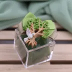 Confezione su Plexiglass per Prima Comunione - Holy Tree con Colomba