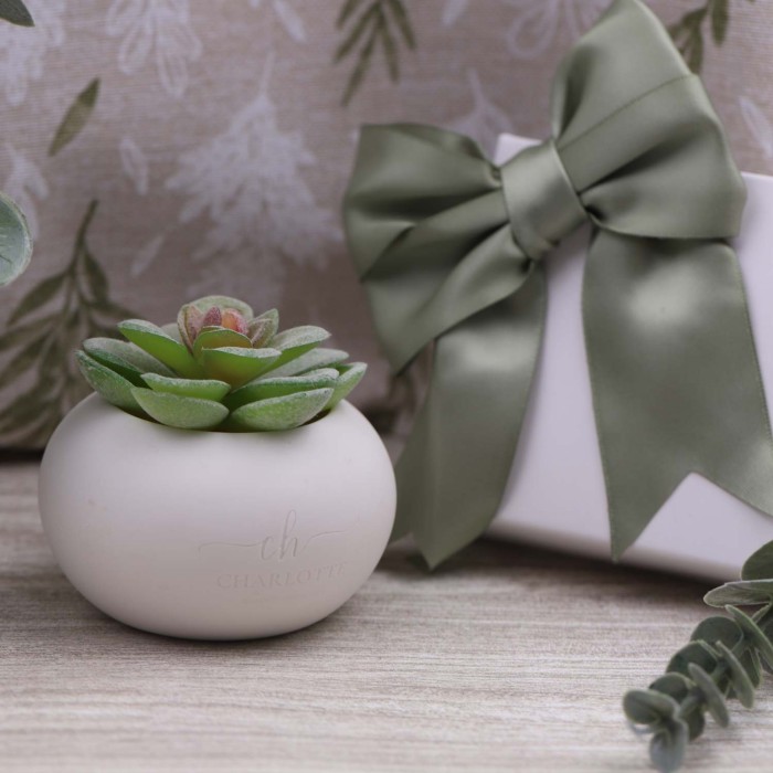 Piantina Grassa con vasetto porcellana bianca in scatola da cerimonia