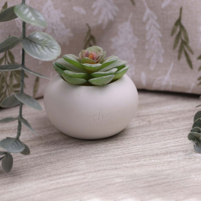 Piantina Grassa con vasetto porcellana bianca in scatola da cerimonia