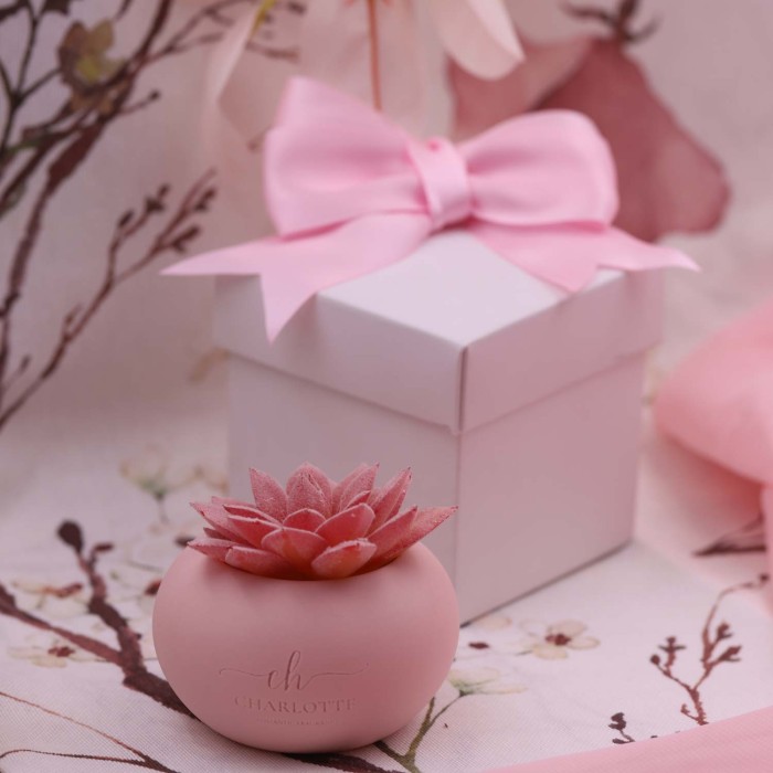 Piantina in vasetto di porcellana rosa - Bomboniera Confezionata