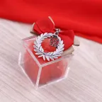 Plexiglass con Corona Coccinella per Laurea