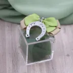 Ferro di cavallo portafortuna su Plexiglass