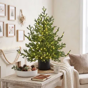 questo albero offre la proporzione perfetta per chi cerca il massimo dell'atmosfera natalizia nel minimo ingombro