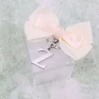 Bomboniera Portachiavi Lettera Z In Metallo Cromato Su Scatola Plexiglass