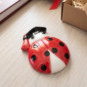 Magnete Coccinella in Porcellana con Tocco di Laurea – Bomboniera Laurea Fai da Te