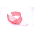 Nastro Rosa