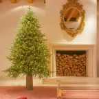 EDG Pino Luxury 210 cm con 4000 LED Integrati