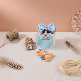 Plexiglass con Animaletti Indiani Magneti bomboniera evento tema indiano