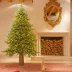 EDG Pino Luxury 210 cm con 4000 LED Integrati