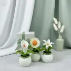 Calla, Margherita, Giglio