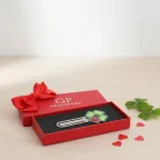 Segnalibro Quadrifoglio con Coccinella Bomboniere Laurea e Comunione