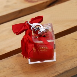 Microscopio con Nappina